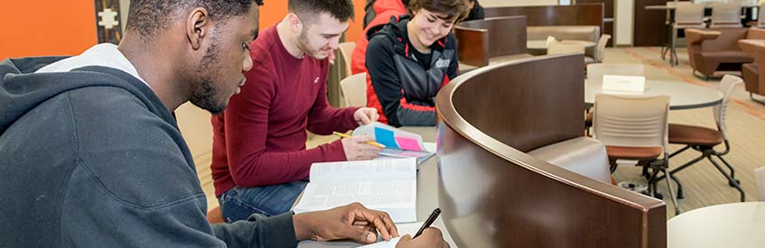 Students working in library